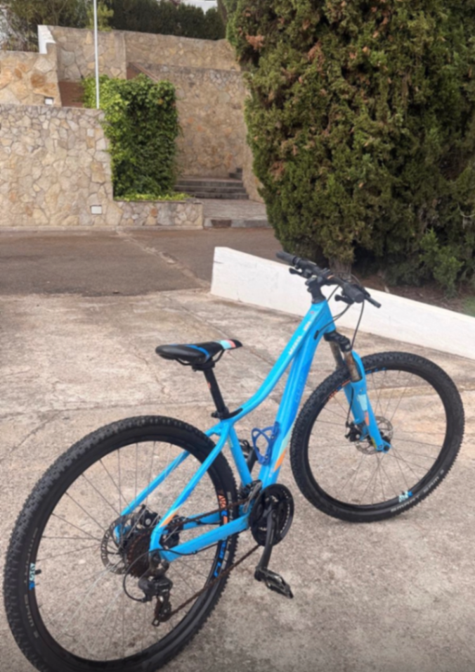 Cube Mountainbike